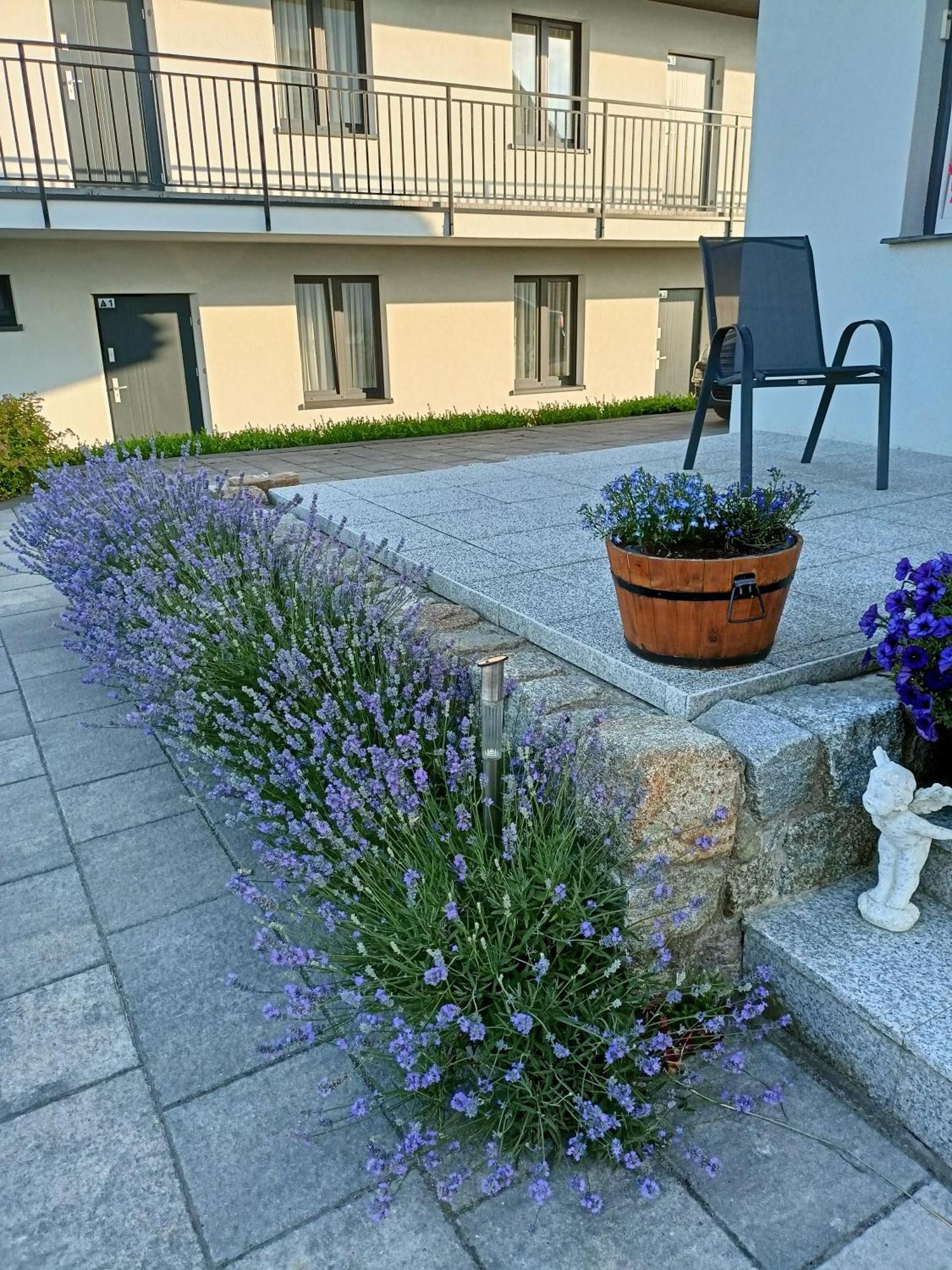 Apartamenty Jasienczyk เมียเลนโก ภายนอก รูปภาพ